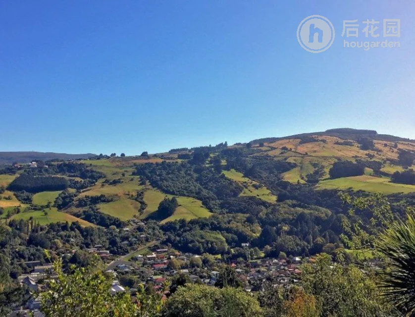 188a Evans Street, Opoho, Dunedin, 0 ਕਮਰੇ, 0 ਬਾਥਰੂਮ