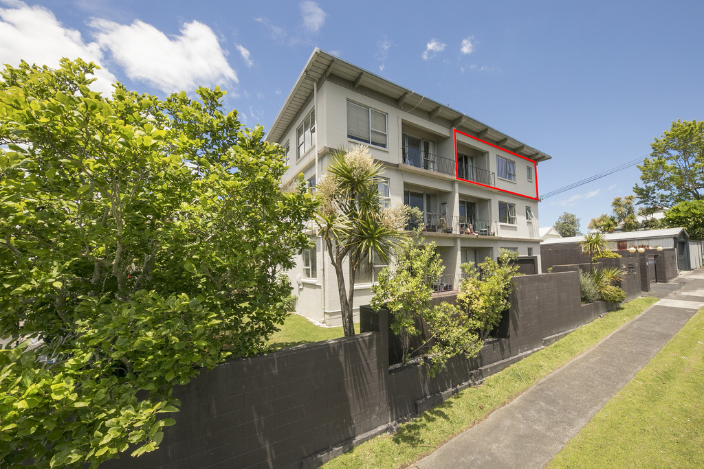 Residential  Terrace Housing and Apartment Building Zone