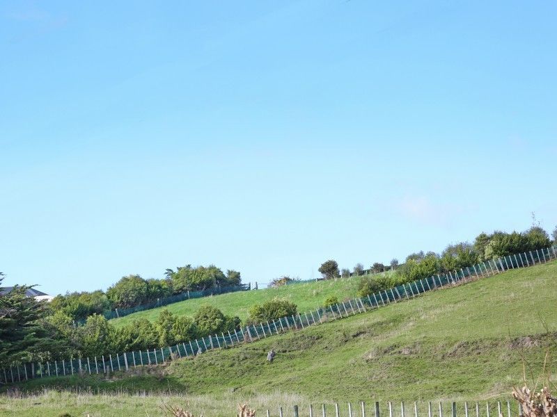 6 Harper Mews, Feilding, Manawatu, 3 રૂમ, 0 બાથરૂમ