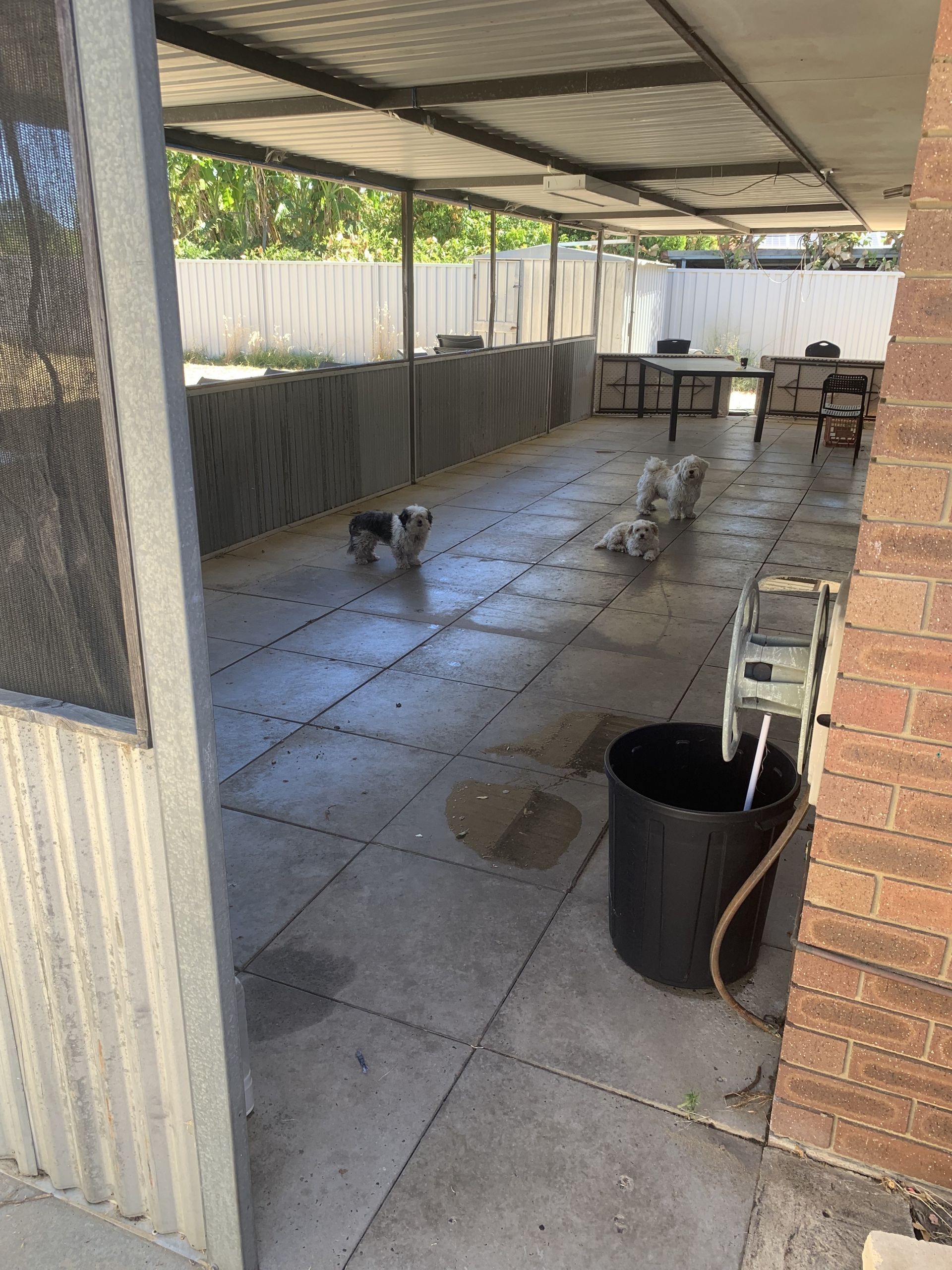 49 CUNNINGHAM LOOP, Mirrabooka, North East Perth, 0 Bedrooms, 0 Bathrooms, House