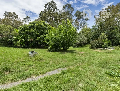 6 PATERSON RD, MOORE QLD 4314, 0 ਕਮਰੇ, 0 ਬਾਥਰੂਮ, Section