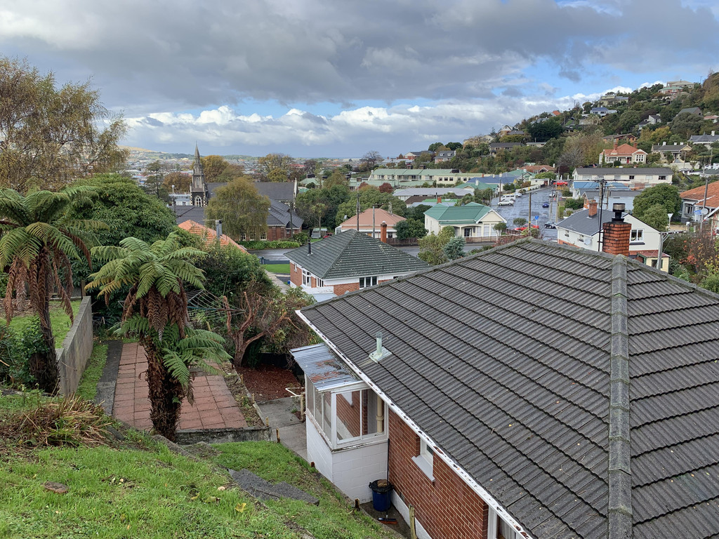 48 Playfair Street, Caversham, Dunedin City, 2 rūma, 1 rūma horoi