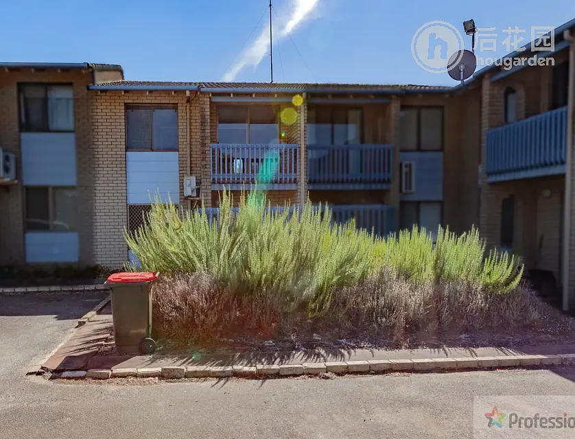 5 SHEOAK ST, MANJIMUP WA 6258, 0 slaapkamers, 0 badkamers, Unit