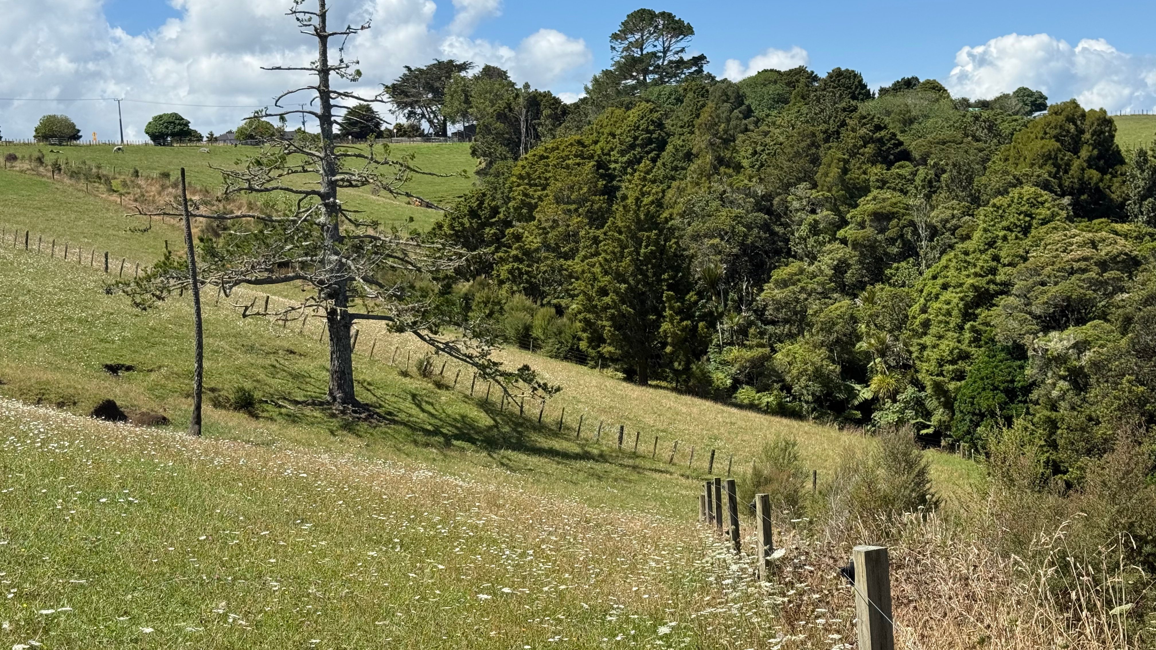 1013 Wiroa Road, Okaihau, Far North, 0 Bedrooms, 0 Bathrooms, Lifestyle Section
