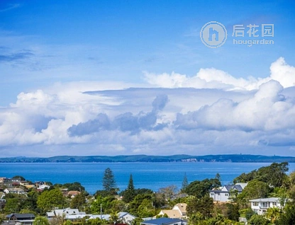 2/32 Calypso Place, Rothesay Bay, Auckland - North Shore, 5 ห้องนอน, 0 ห้องน้ำ