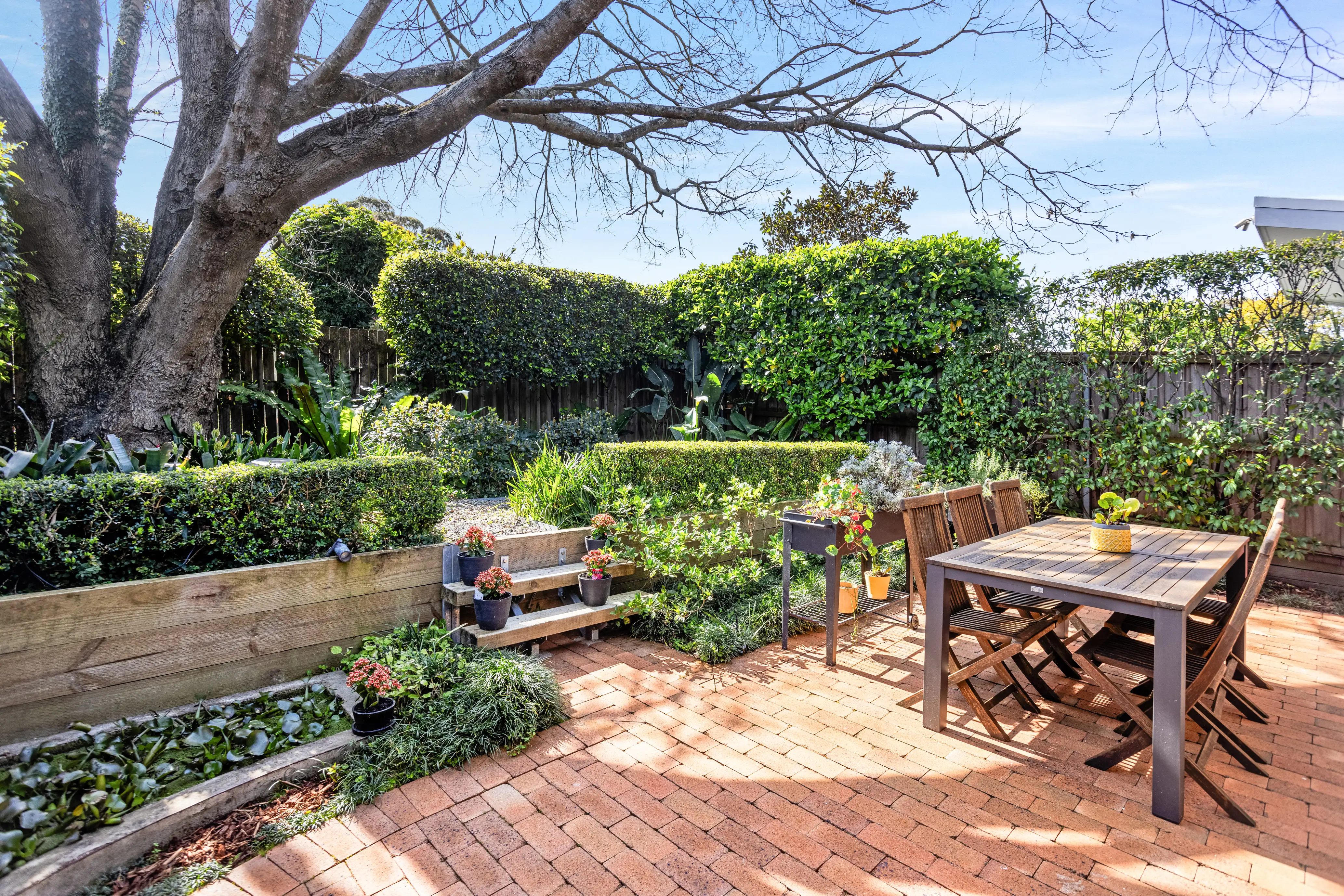 27 KILBRIDE ST, Hurlstone Park, Inner West, 0房, 0浴, House