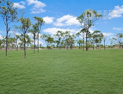 18 JENSEN RD, JENSEN QLD 4818, 0 Kuwarto, 0 Banyo, Section