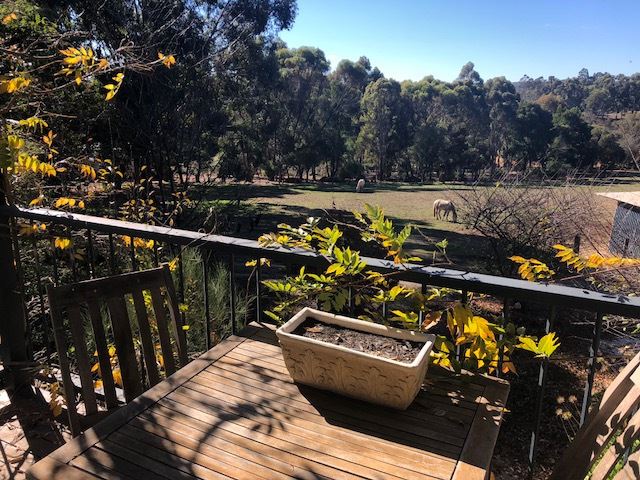 278 HENDERSON RD, Kangaroo Gully, Bunbury, 0 ห้องนอน, 0 ห้องน้ำ, House