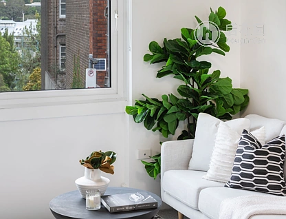 Unit 2/3 GRANTHAM STREET, POTTS POINT, 0部屋, 0バスルーム, Studio